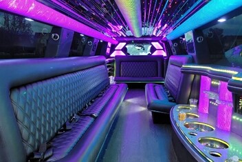 Mesquite Limo Interior