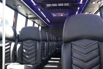 Mesquite Minibus Interior