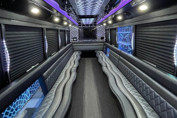 Mesquite Party Bus Interior
