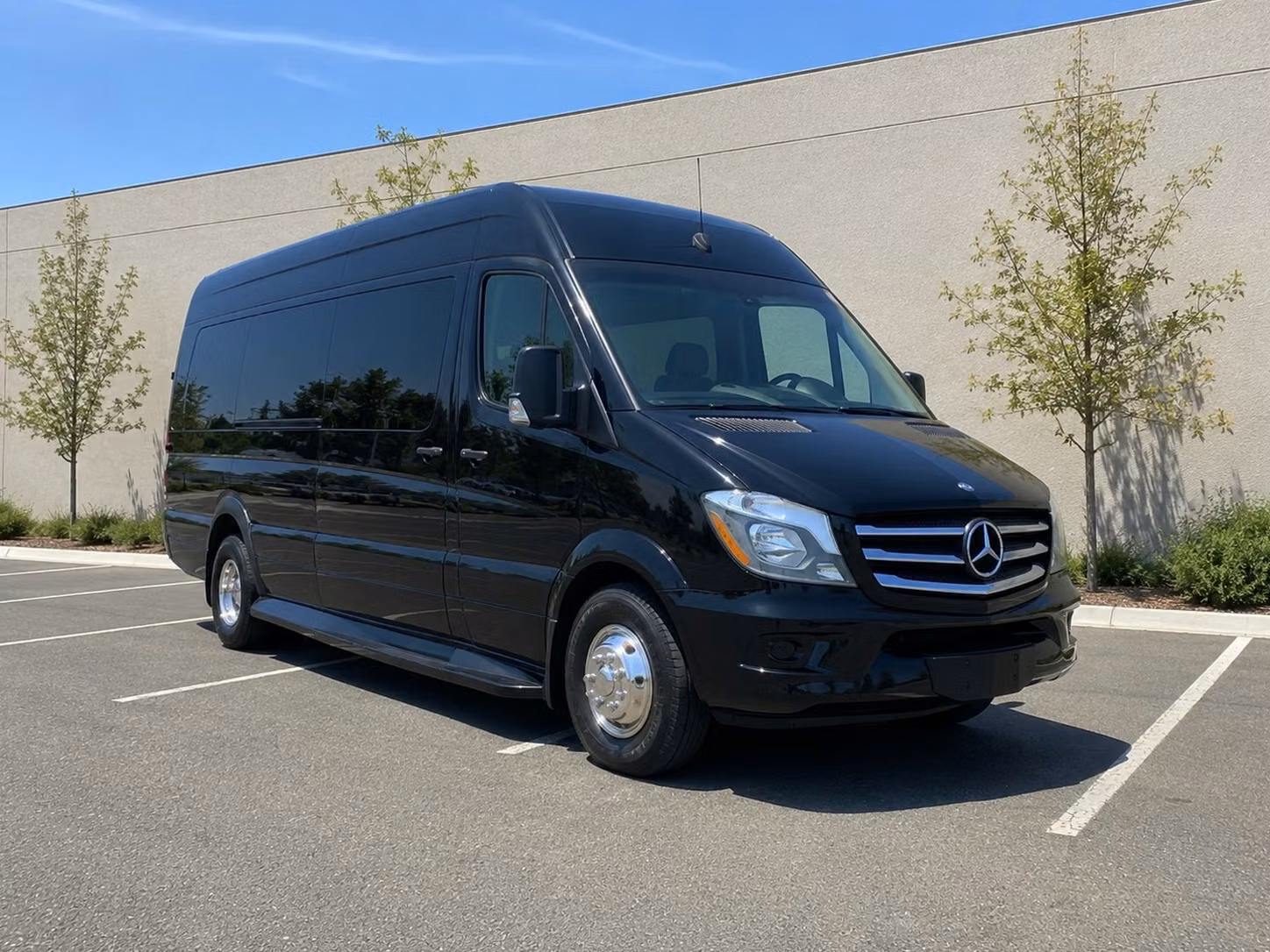 mesquite sprinter van rental with driver